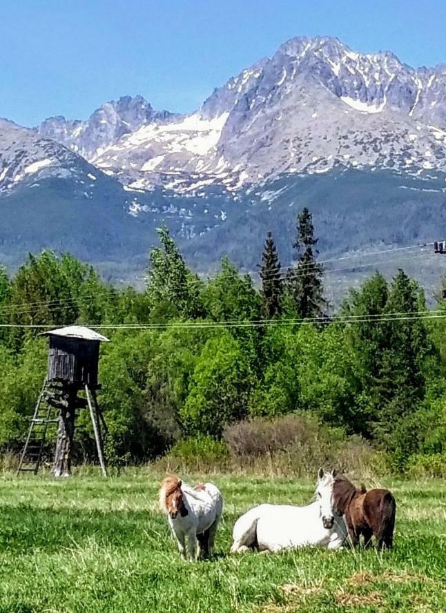 Penzion Monty Ranch Vysoke Tatry Stola Hotel Luaran gambar